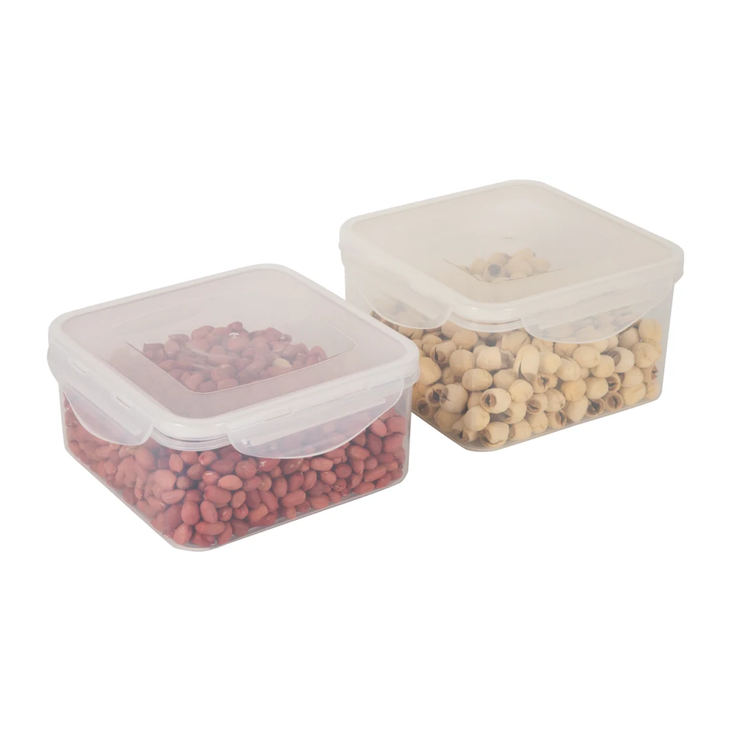 Wholesale Multi-Specification Square Transparent Sealed Box Plastic Preservation Box Food Packaging Crisper